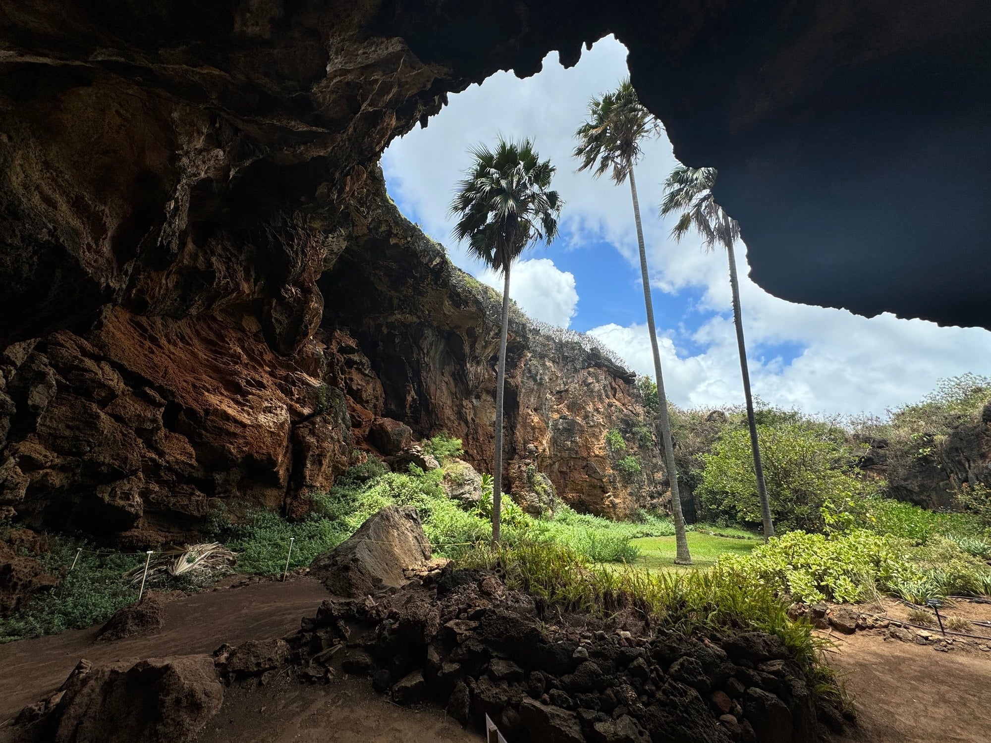 Makauwahi Cave Reserve: Why it Matters