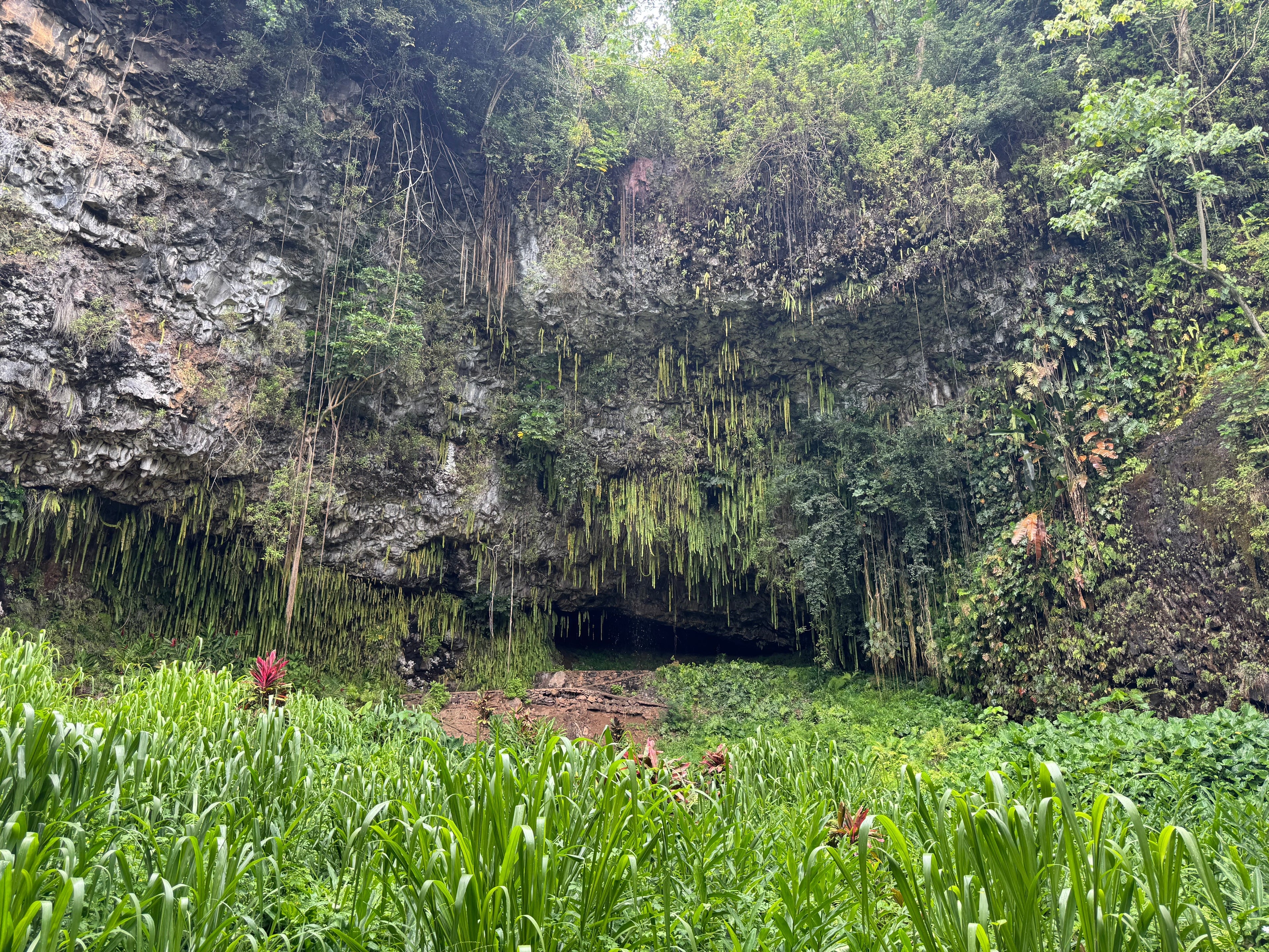 Fern Grotto Kauai