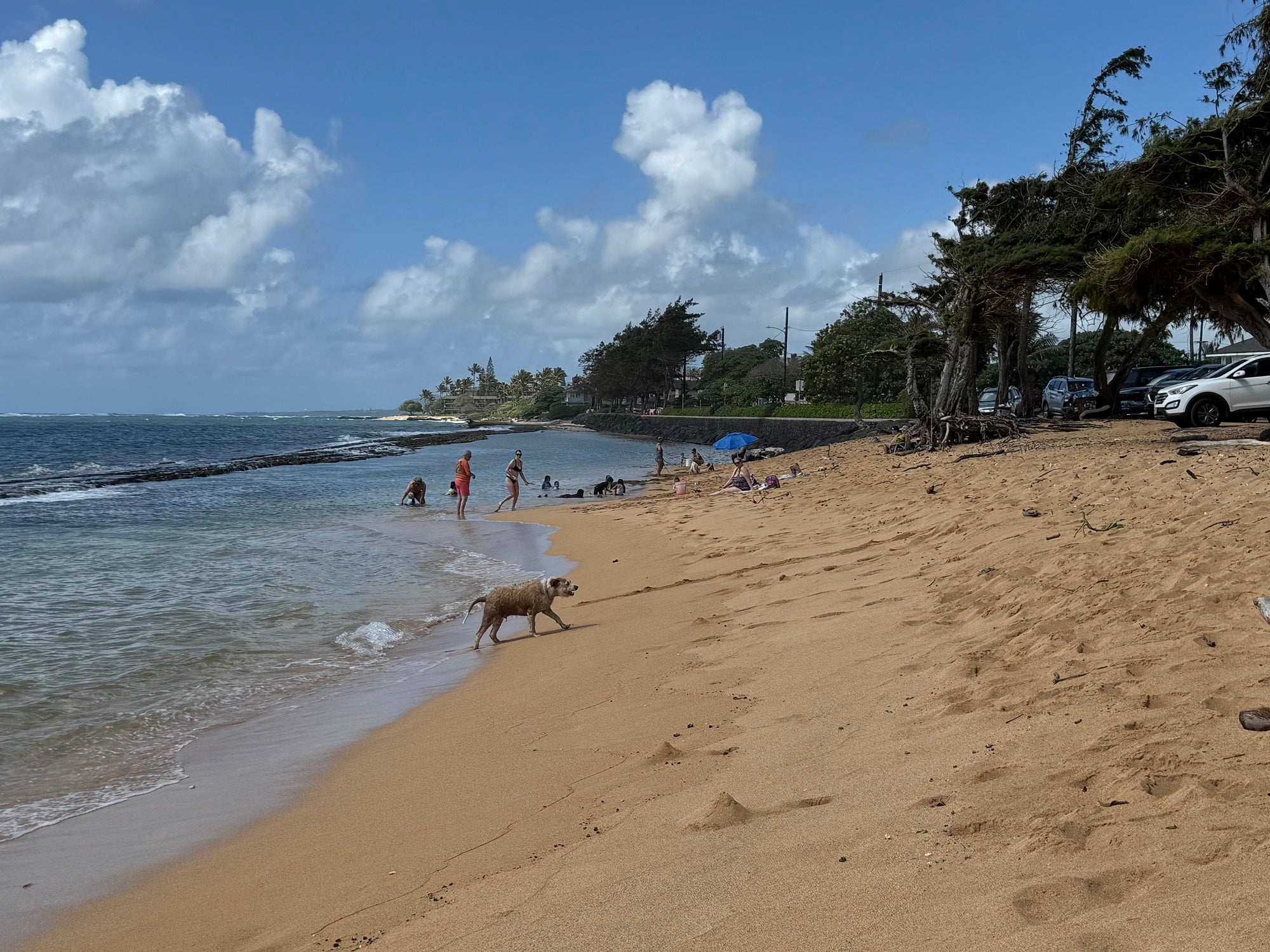 Fuji Beach
