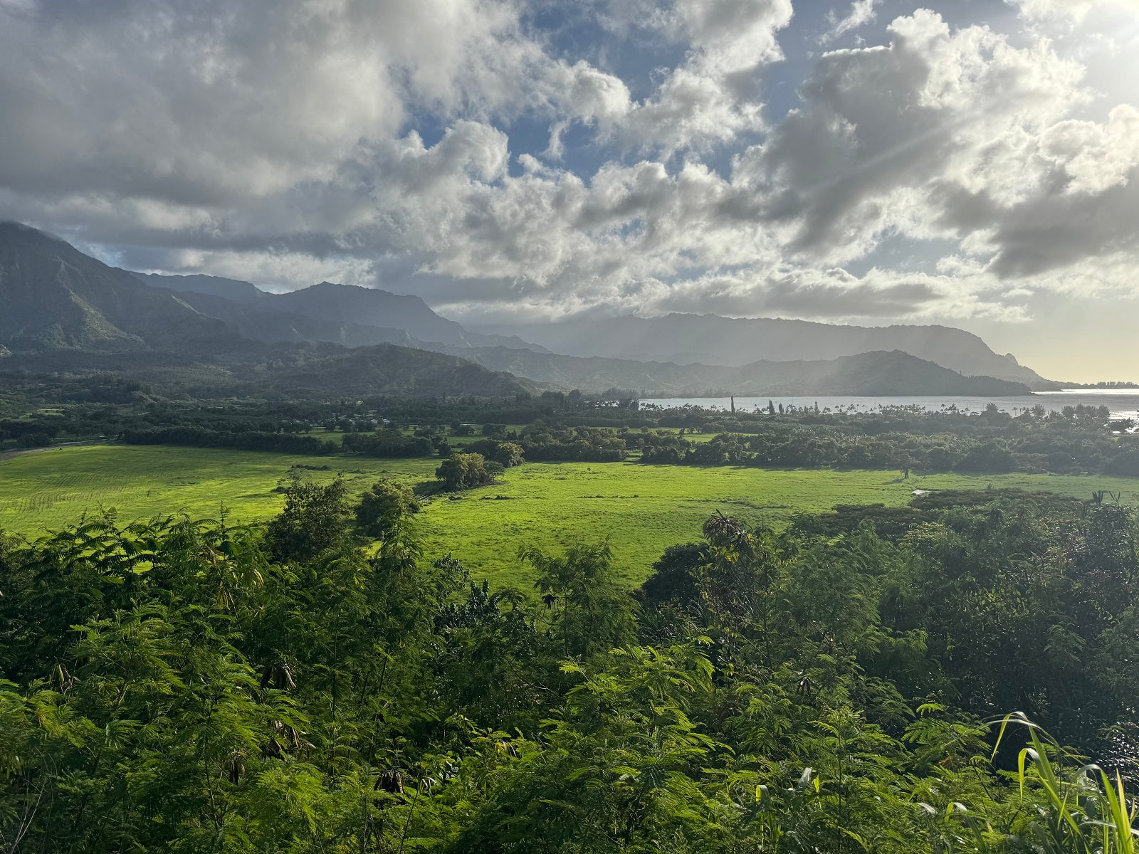 Hanalei Bay Lookout: The Wow Factor
