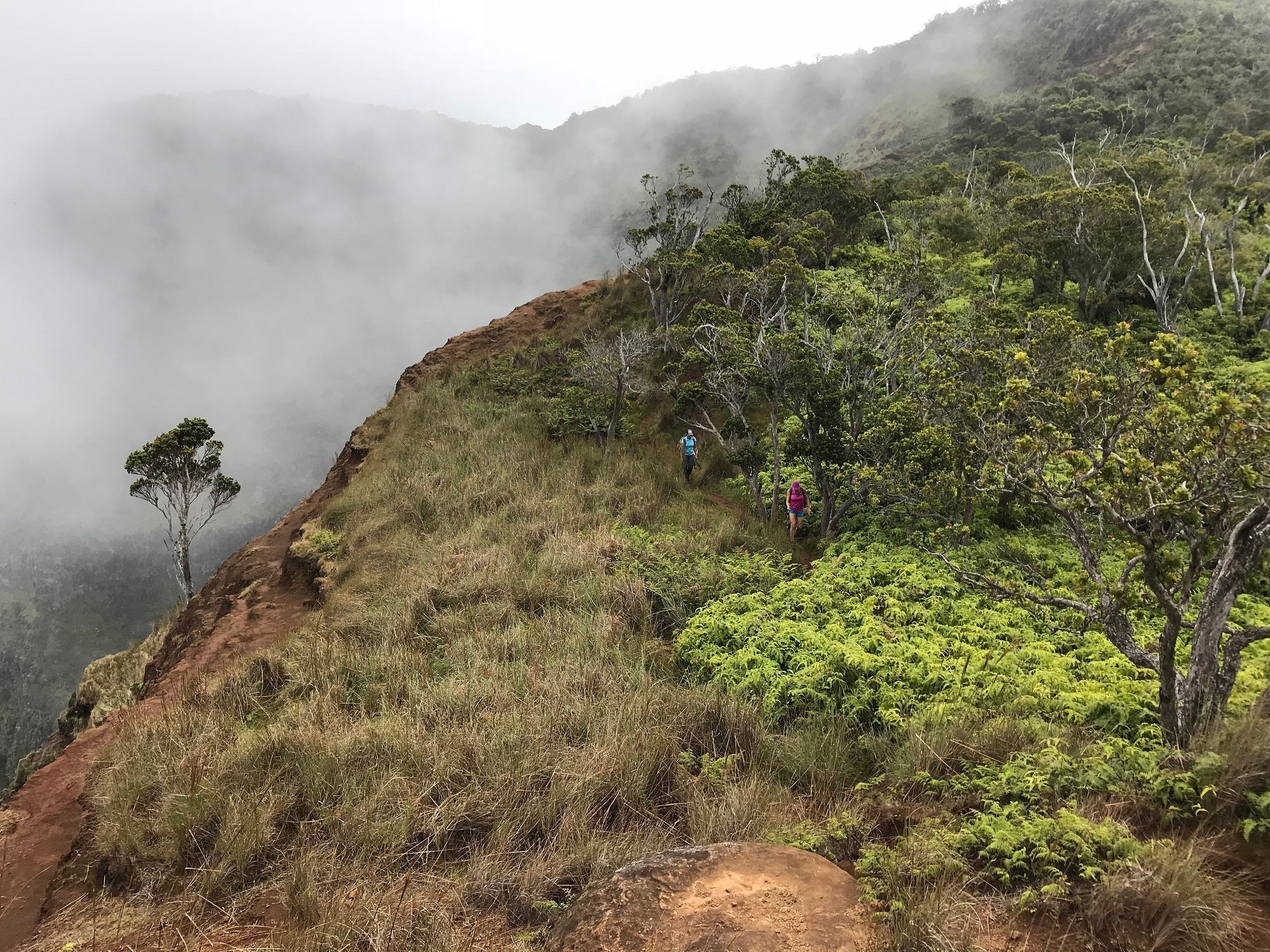 Kalepa Ridge Trail Kauai