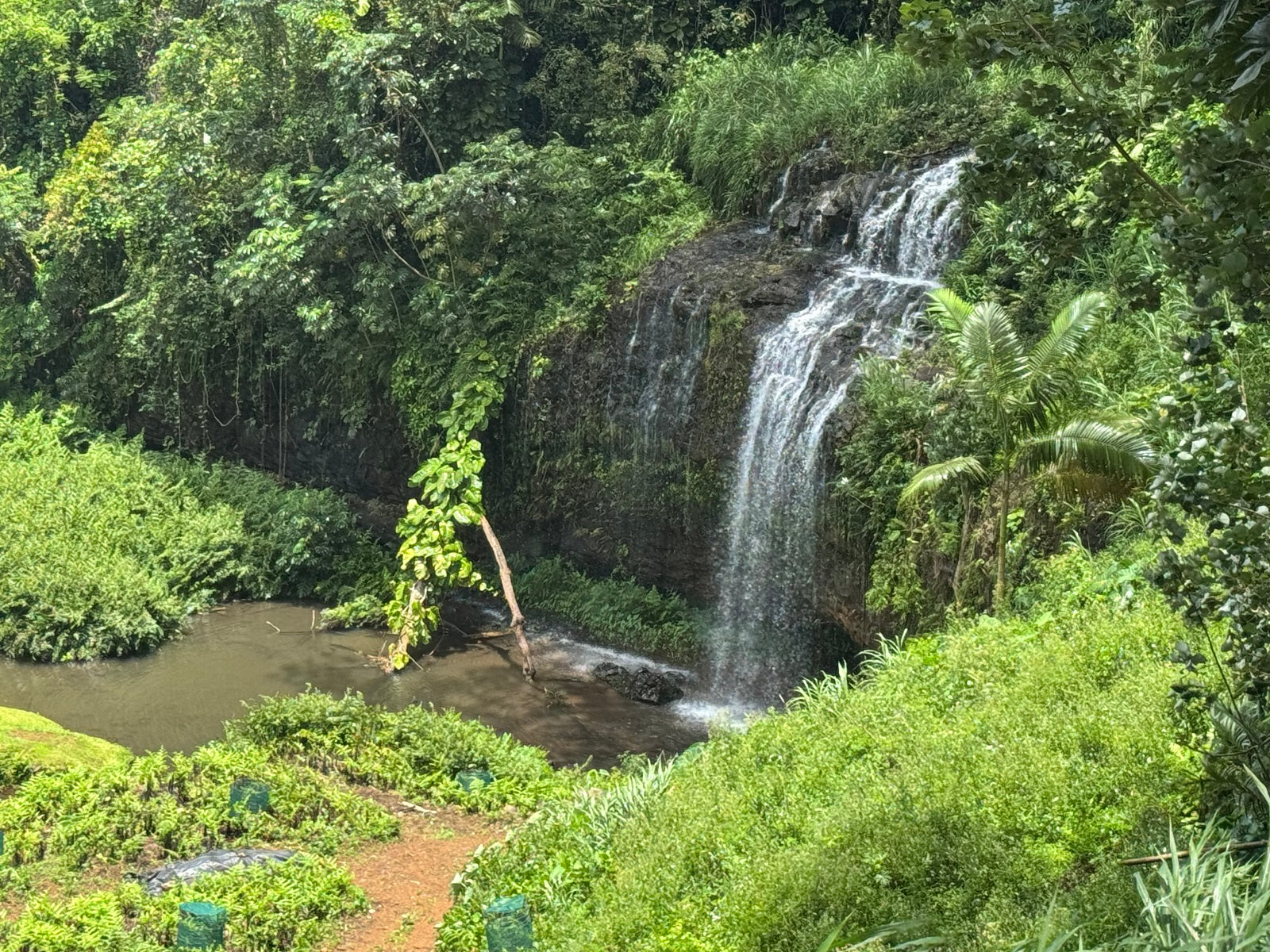Puukumu Stream Falls Kauai