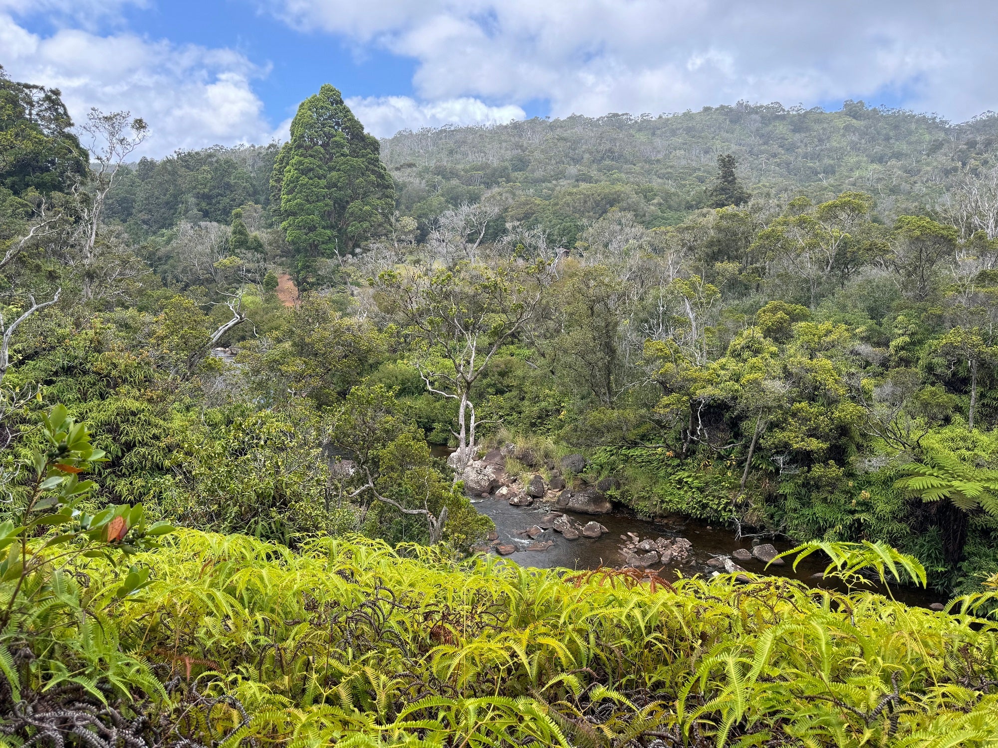 Kawaikoi Stream Trail Kauai