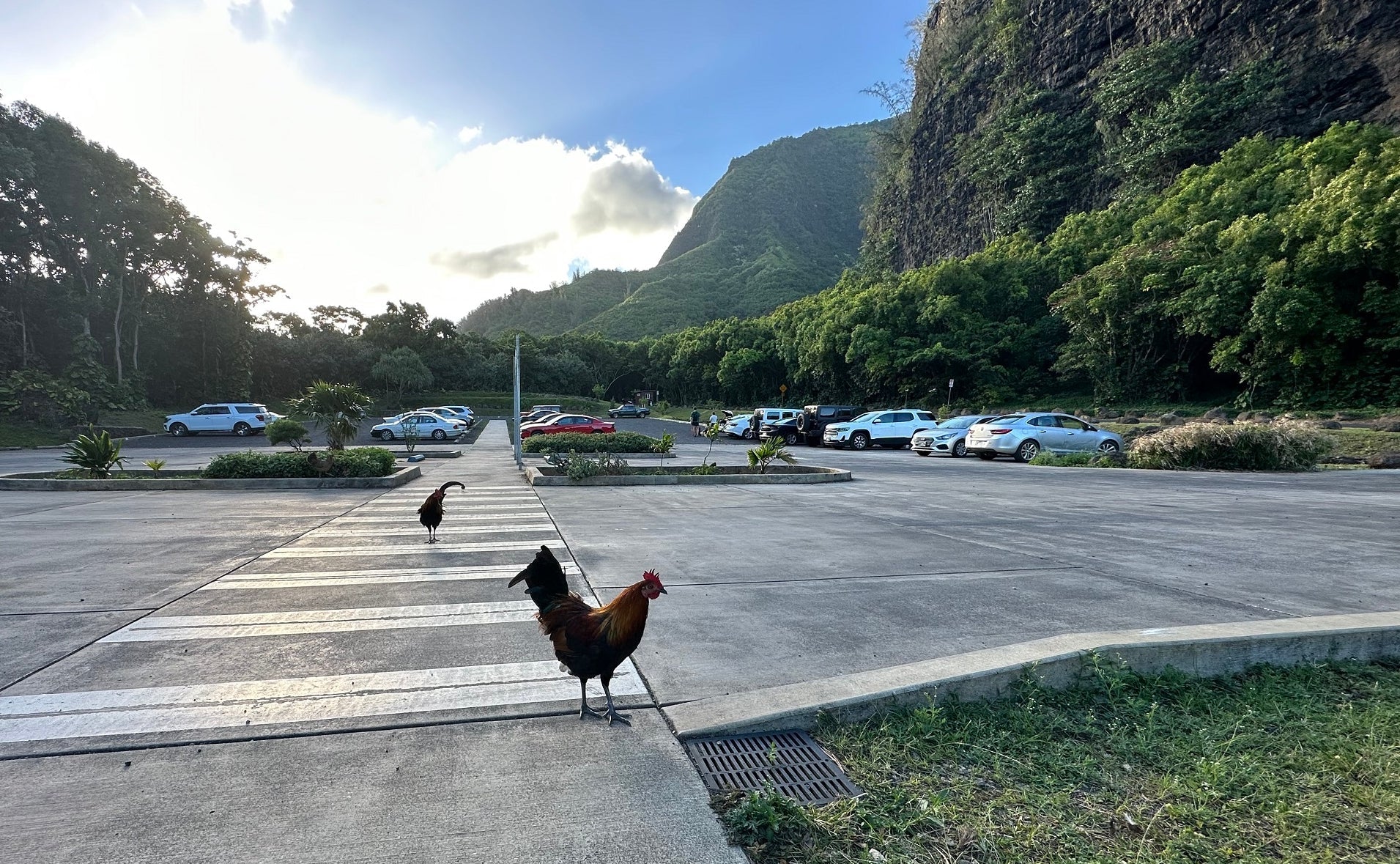 Kauai Fuel Thefts Warning