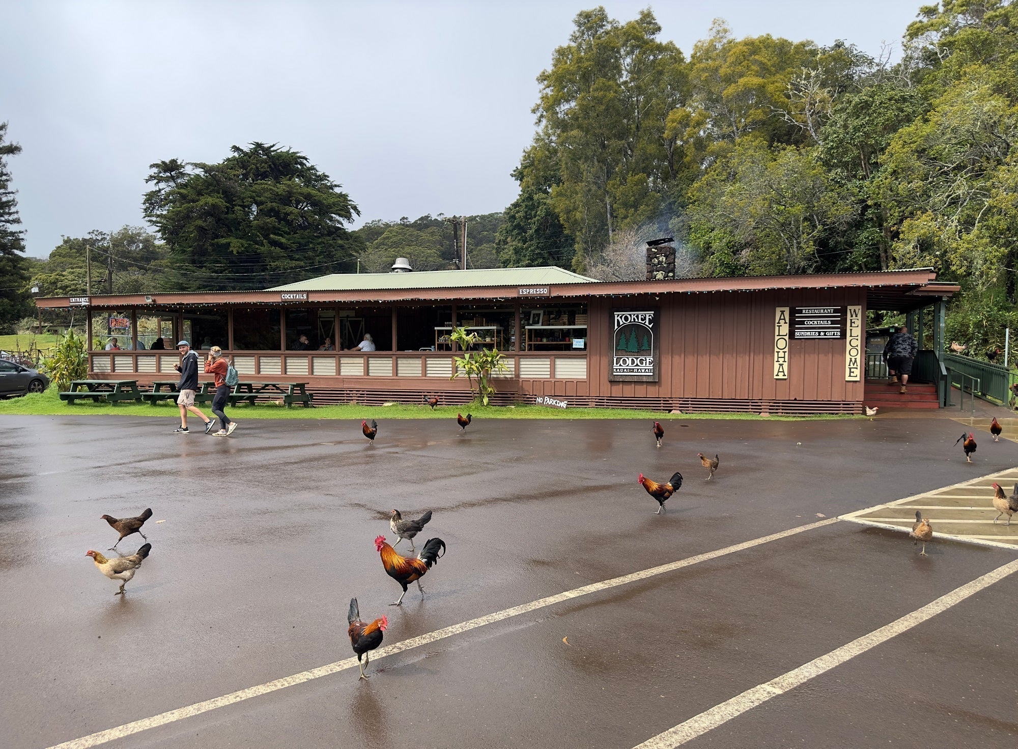 Kokee Lodge Kauai