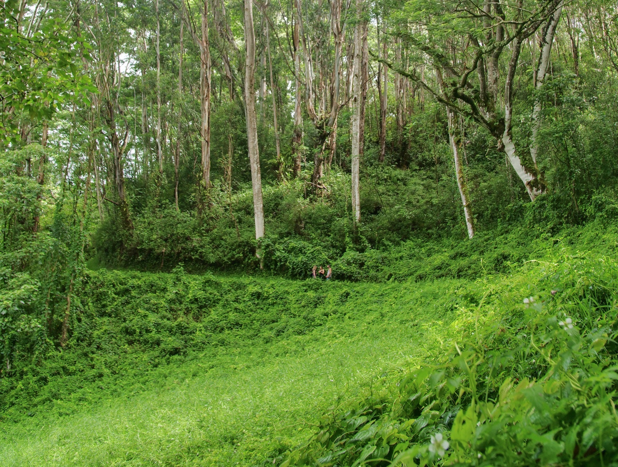 Easy Hikes on Kauai