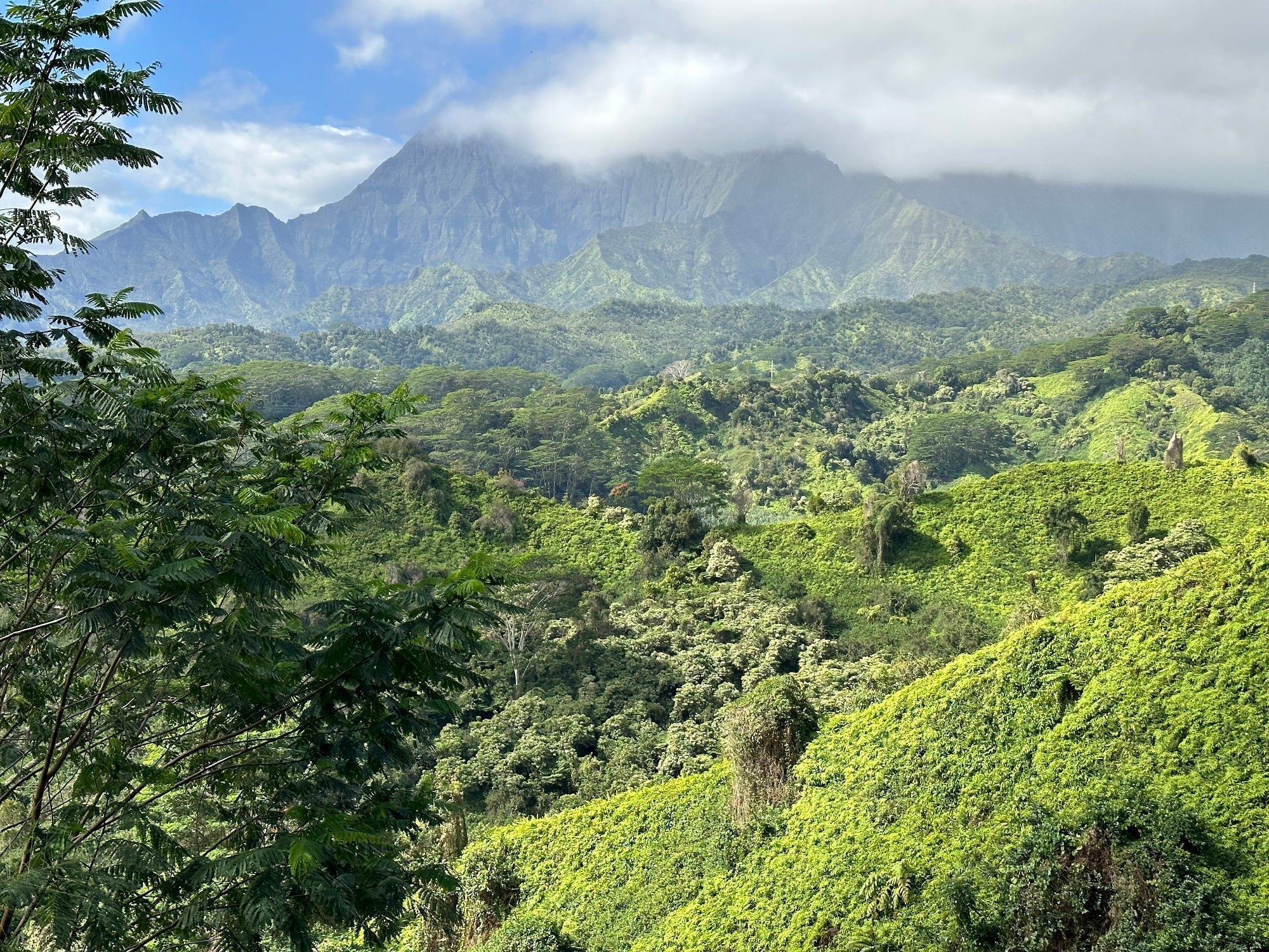 Kuilau Ridge Trail Kauai