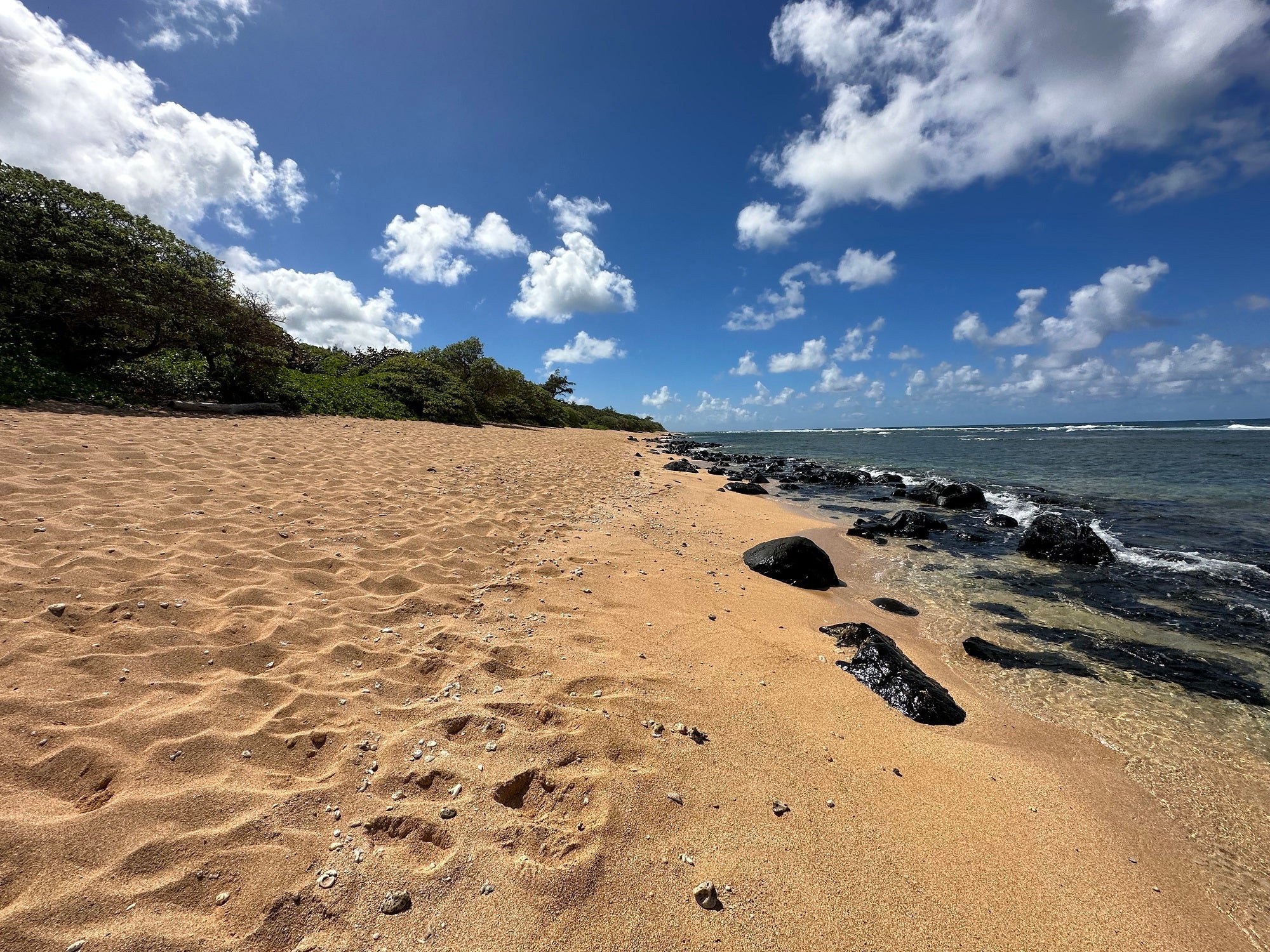 Larsen's Beach Kauai