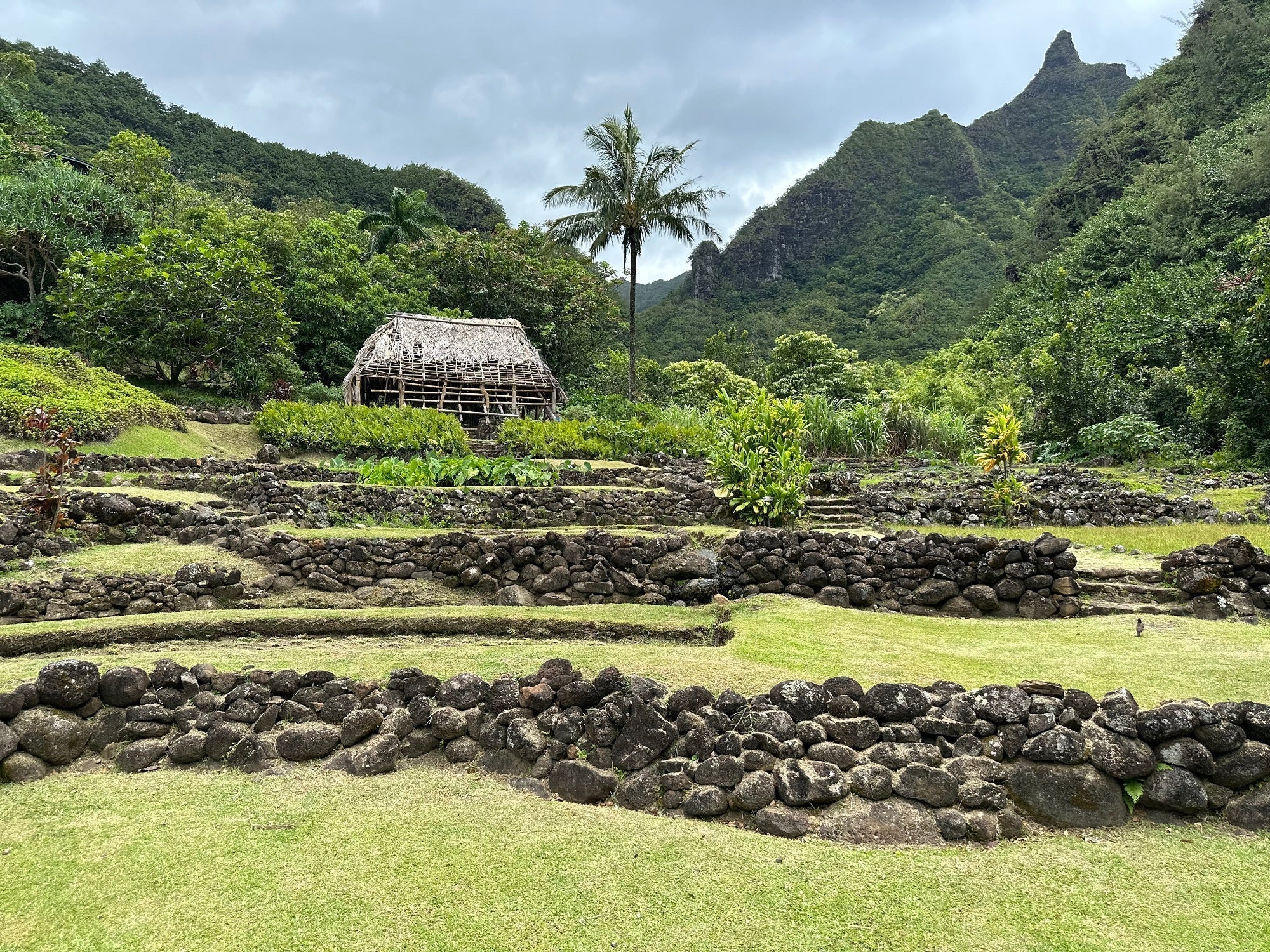 Limahuli Garden and Preserve