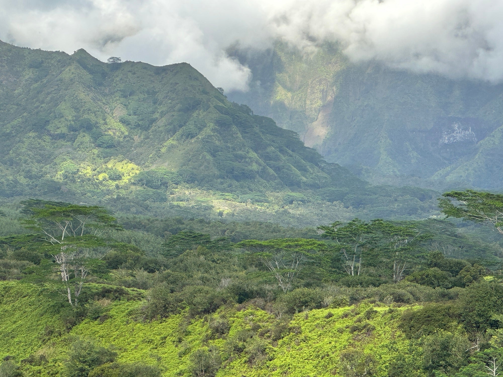 Mount Waialeale Overlook: Into the Heart of Kauai