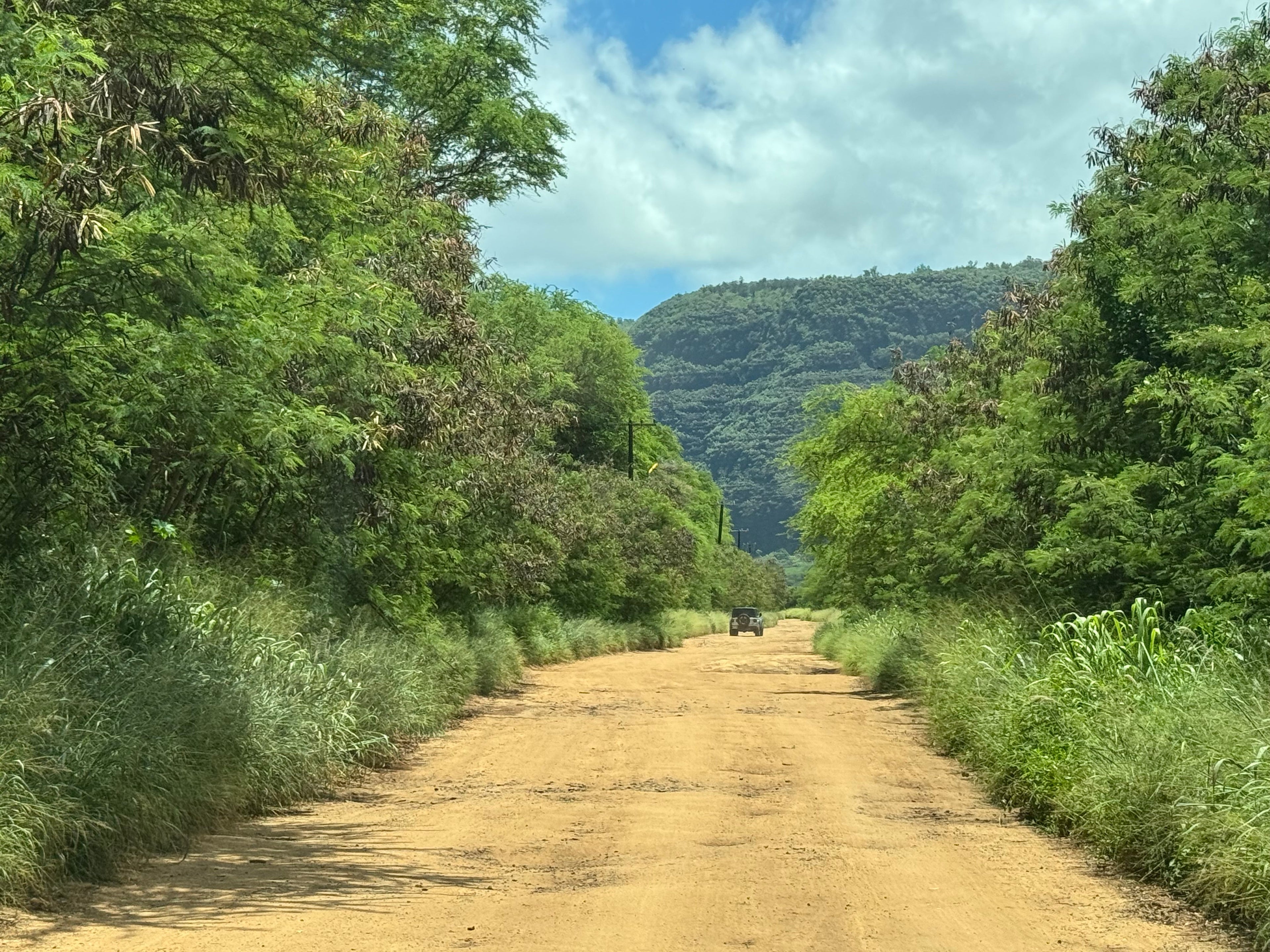 Polihale State Park Reopens Following Road Repairs