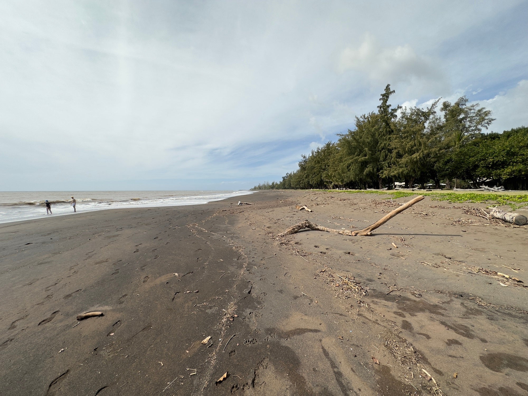 Waimea Driftwood Beach