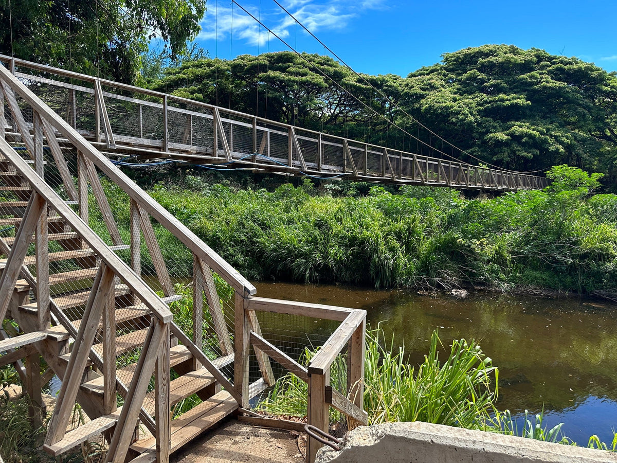 Waimea Swinging Bridge Kauai