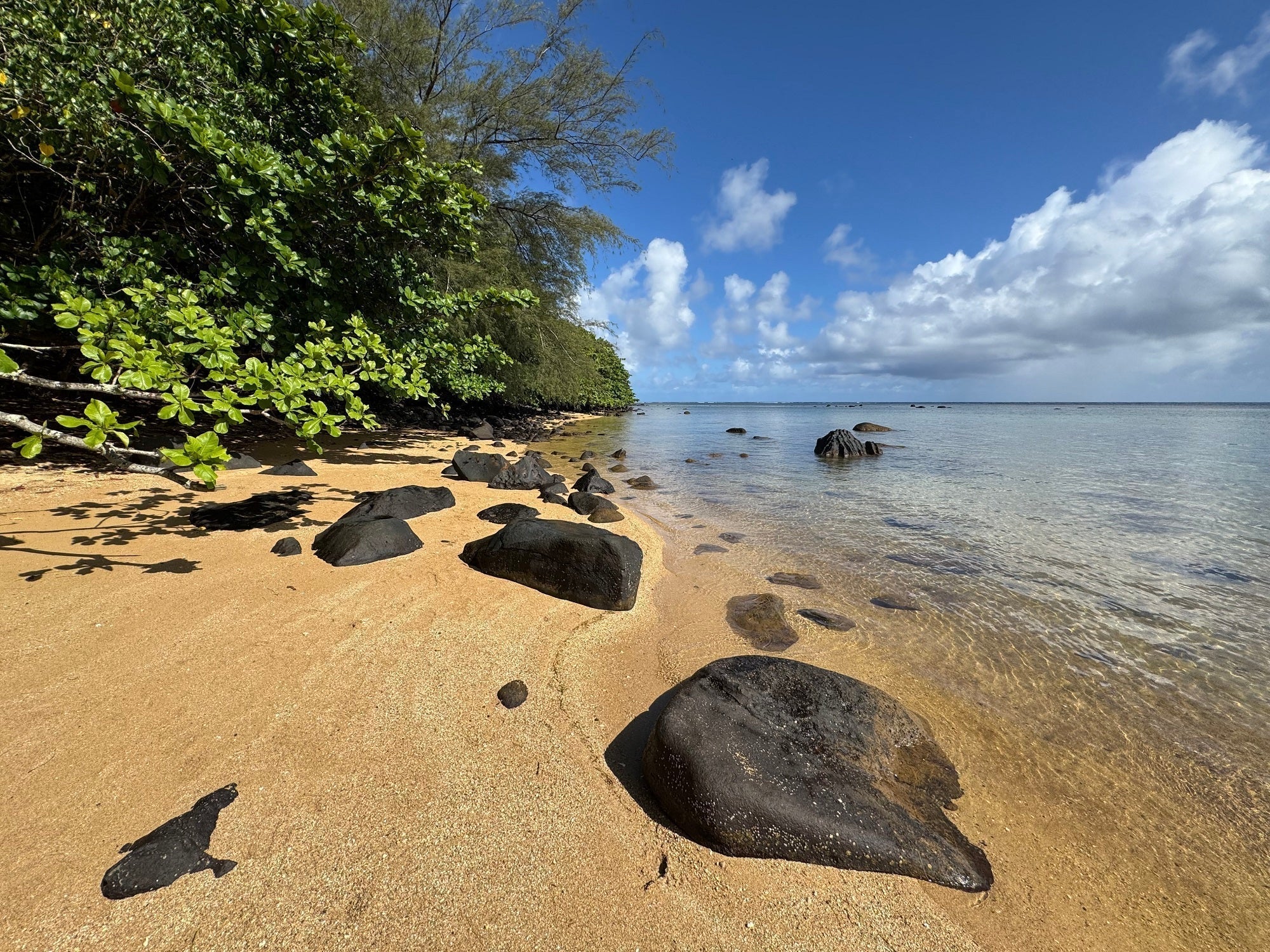 Wyllie's Beach Kauai